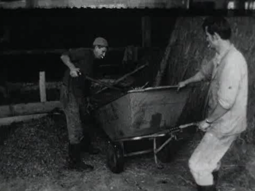 Photo 3 de « Raison administrative » (1970) d'Alain Tanner